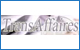 www.transaffaires.fr