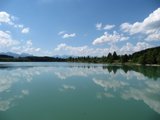 Die ostallgäuer Landschaft und Natur rund um den Ponyhof-Prem
