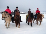 Pferdetrekking, Ausritte, Wanderreitstation, Reitplatz, Ausreitgelände, Ponyhof-Prem