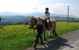 Pferdetrekking, Ausritte, Wanderreitstation, Reitplatz, Ausreitgelände, Ponyhof-Prem