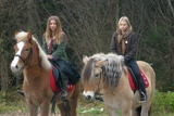 Pferdetrekking, Ausritte, Wanderreitstation, Reitplatz, Ausreitgelände, Ponyhof-Prem