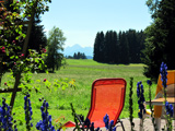 Die ostallgäuer Landschaft und Natur rund um den Ponyhof-Prem