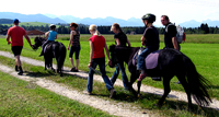 Pferdetrekking, Ausritte, Wanderreitstation, Reitplatz, Ausreitgelände, Ponyhof-Prem