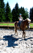 Pferdetrekking, Ausritte, Wanderreitstation, Reitplatz, Ausreitgelände, Ponyhof-Prem
