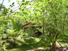 18 Chal� Verde