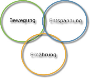 das ganzheitliche Konzept