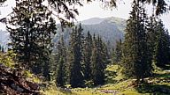 schafreuter vorderriss, bayern tirol