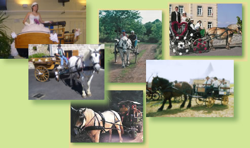 promenades en calèche