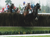 Course d'obstacle,pmu,Auteuil