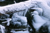 <b>Eiszauber (Bierbach)</b><br>