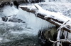 <b>Bierbach am Eifelzoo</b><br>