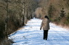 <b>Winterspaziergang im Alfbachtal</b><br>