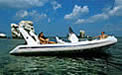 Grand Schlauchboot - Silver Line Cruiser