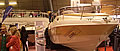 Austrian Boat Show TULLN 2009