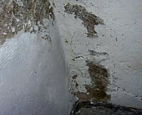 Farbabplatzungen / Putzsch&auml;den