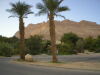 <b>Israelreise - Kibbuz EinGedi</b><br>Das Kibbuz EinGedi am Toten Meer sind etwa 25 ha Paradies. Früher war es Wüste.<br />
