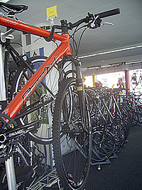 Trekkingbikes und Mountainbikes f&uuml;r Erwachsene