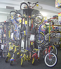 Trekkingbikes und Mountainbikes für Erwachsene
