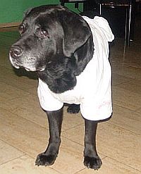 Unser unvergessener Rico