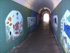 BILD1081.jpg