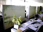 SDC10320.jpg