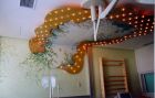 DSC01800.jpg