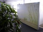 SDC10299.jpg