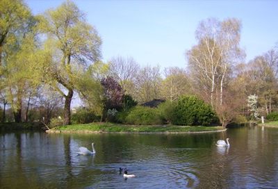 Englischer Garten China Insel