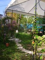 Garten am Meditationshaus