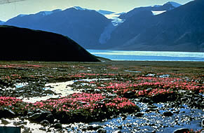 Ellesmere Island Ellesmere Island