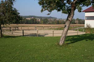 Longierzirkel