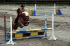 Bild3