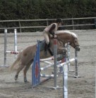 Bild5
