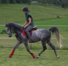Bild8