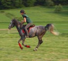 Bild9