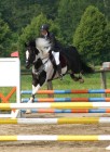 Bild12