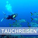 Tauchen Saint Lucia, St. Lucia Karibik Tauchen, Tauchurlaub auf der Karibikinsel Saint Lucia, Kleine Antillen