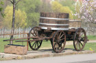 pfalz-05.jpg