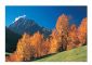 Nature 1