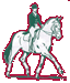 Dressage
