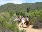 Dans le Massif des Maures