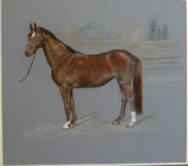 er0  Elke Reinegger,. "Braune Stute", 2003, Pastell, 40x50 cm   verkauft