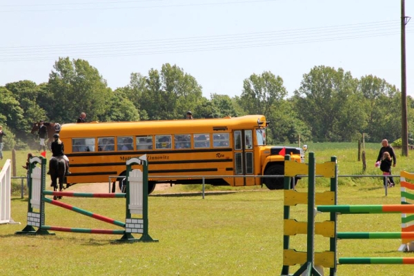 gelber-bus.jpg