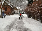 023 Schnee satt 023 Schnee satt