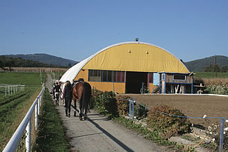 Blick zur Reithalle und zum Dressurviereck