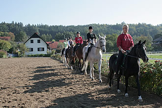 Dressurviereck