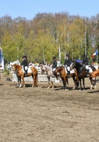 6 IMG_3968.jpg