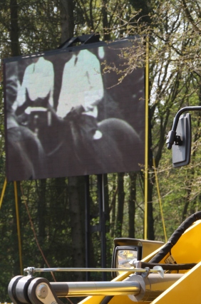 BS Turnier 2011 020.jpg