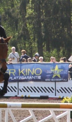 BS Turnier 2011 092.jpg