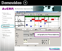 AvERP Demovideo